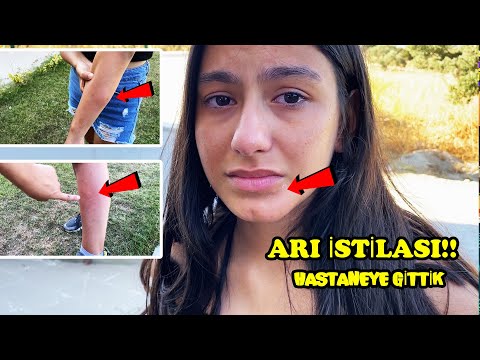 ARILAR SALDIRDI HASTANEYE GİTTİK İĞNE YAPTILAR EYLÜL LAL