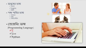 প্রোগ্রামিং ভাষা ( Programming Language)