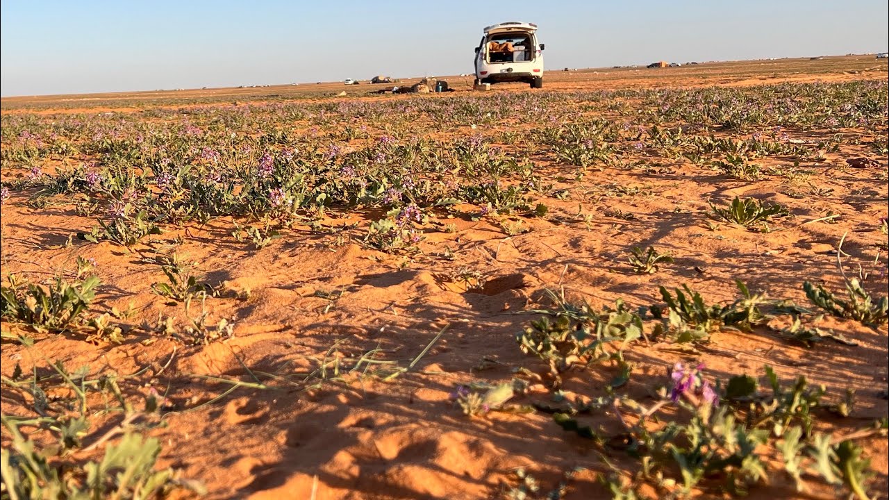 جولة مكشاتية مميزه - الجزء الثاني