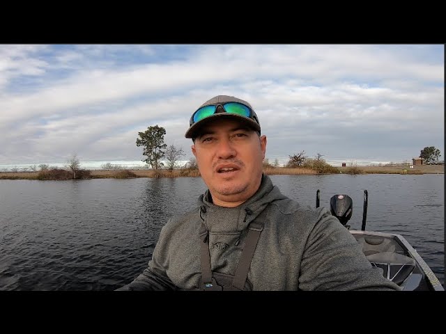 Daiwa Zillion Casting Reel with Randy Howell