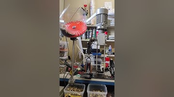 Swaging with modified Lee APP and APP swaging tool