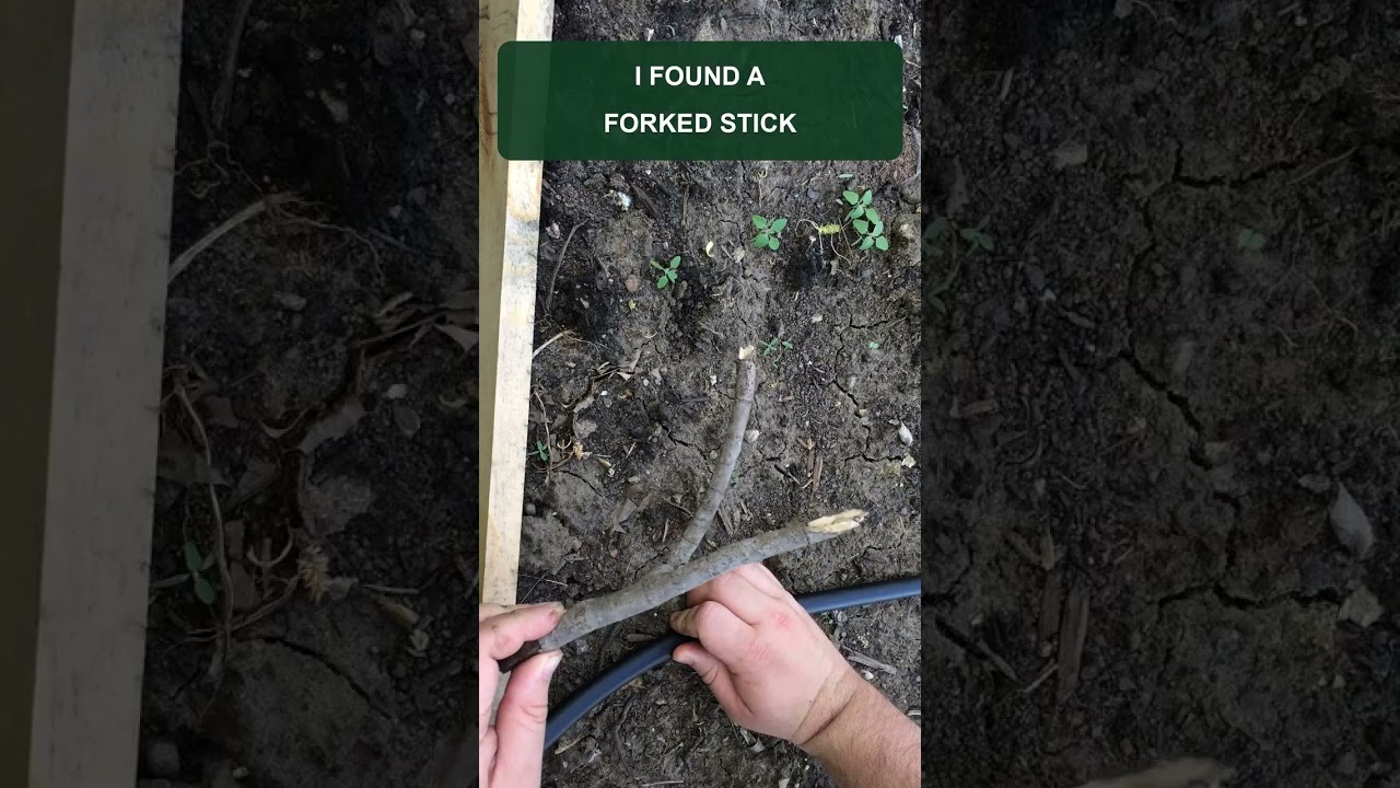 The Drip-Line Anchor I Found on the Ground