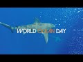 World ocean day  sw productions archives