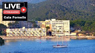 🌊 Live Webcam Paguera Cala Fornells PTZ | 4K UHD | 24/7 | Mallorca #Livestream #Mallorca #Balearics