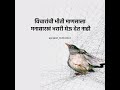 13 March 2026