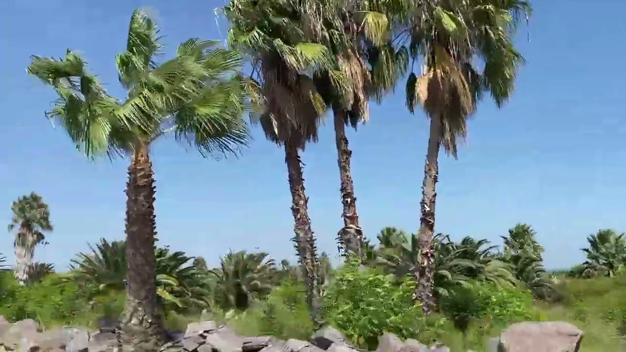 Miramar  De Ansenuza 