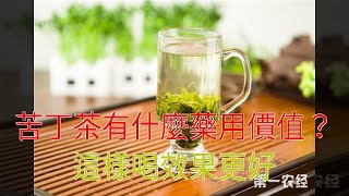 苦丁茶有什麼藥用價值？這樣喝效果更好