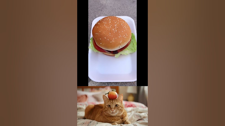 Don't Waste!  Turn Ham Into Delicious Food #cat #cats #funny