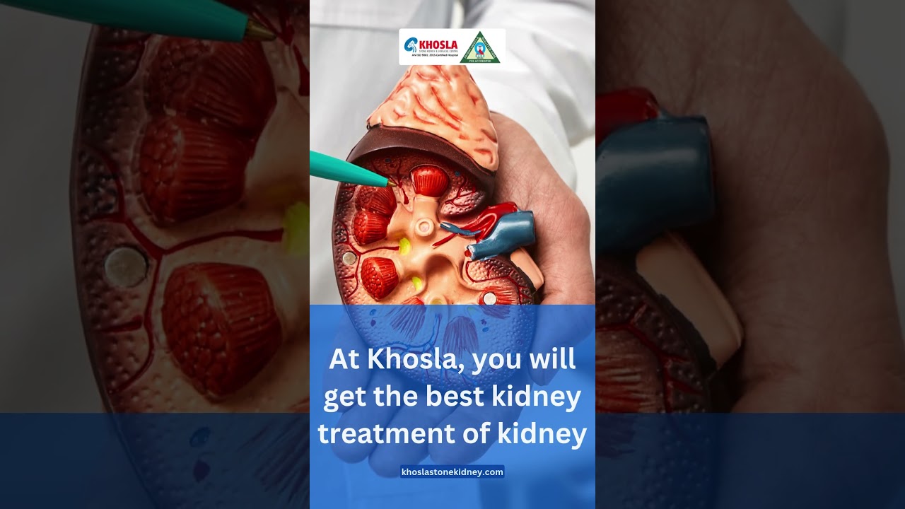 Kidney Stone Treatment in Ludhiana | Khosla Stone Kidney & Surgical Centre