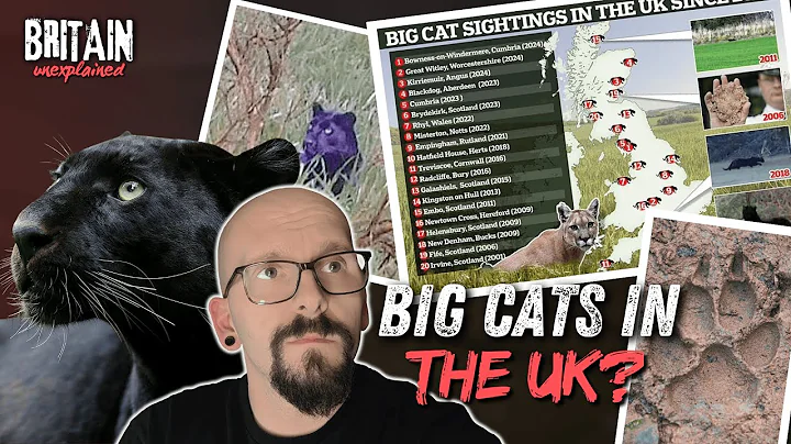 Watch the video about Britain Unexplained - Big Cats in the UK?