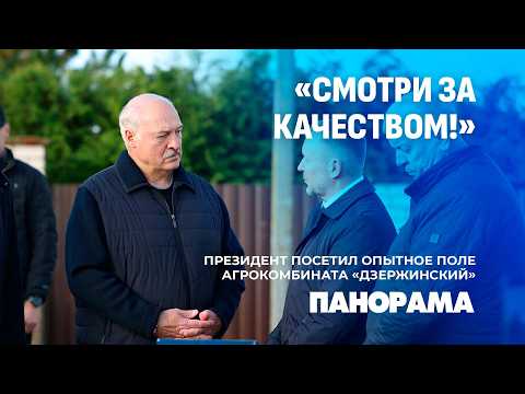 Лукашенко проверил, как отходы калийного производства влияют на урожайность кукурузы. Панорама
