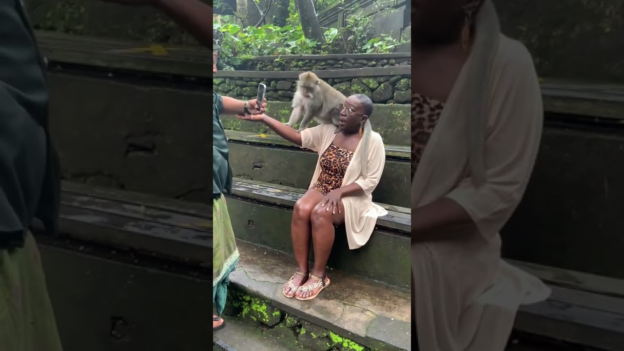 Bali Indonesia Monkey Forrest@Family Tree Buff