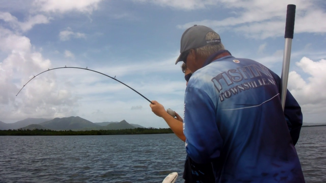 australia แปลว่า Monster Barramundi by catch!
