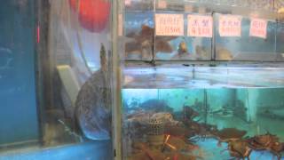 Hong Kong live fish trade