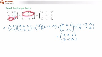 Matrices blocs ou partitionnées
