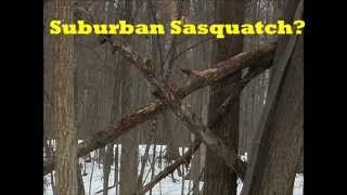 Suburban Sasquatch