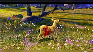 Deer Hunter Classic Android Gameplay Full HD screenshot 5