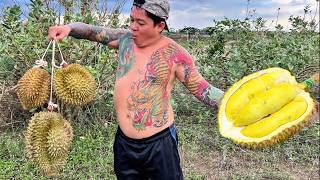 Natural food KM, I ate durian for lunch today, it was really sweet and delicious.#240