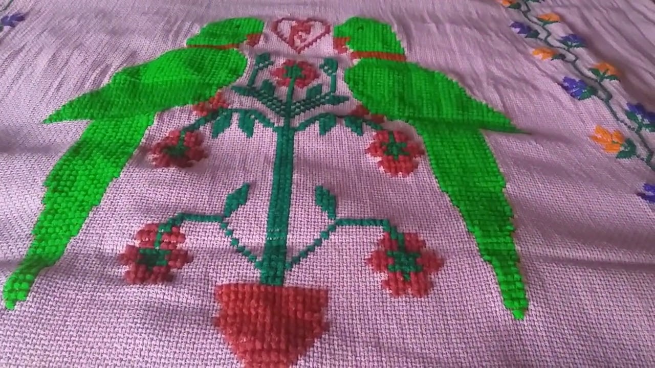 dusuti parda kinari parrot