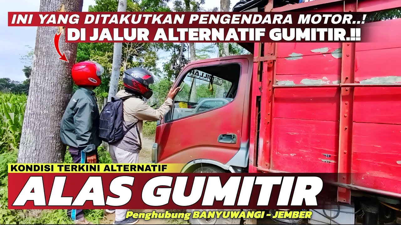 Ini Yang Ditakuti Pengendara Motor di Jalur Alternatif Gumitir‼️ Untungnya Ada Truk Perkebunan Lewat