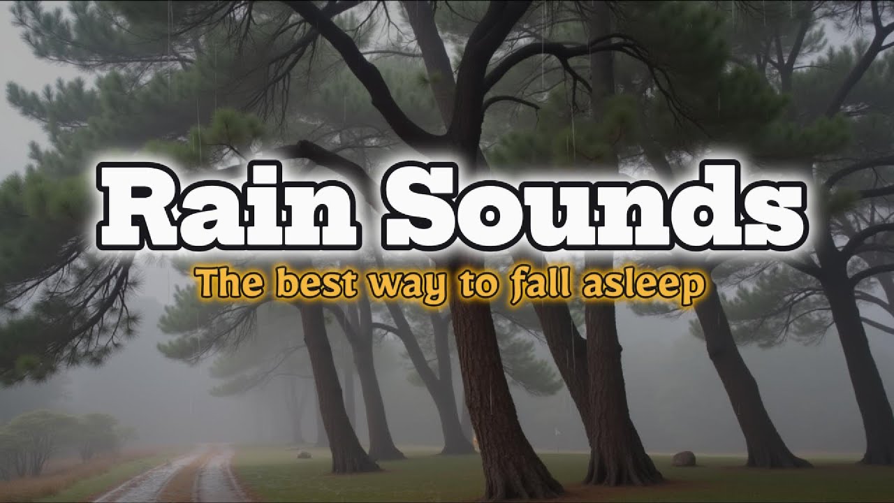 [Rain Sound] Fall into a restful sleep within 5 minutes to the sound of heavy rain | 8 hours