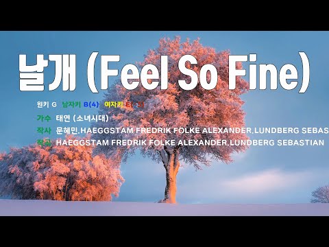 [은성 반주기] 날개(Feel So Fine) - 태연(소녀시대)