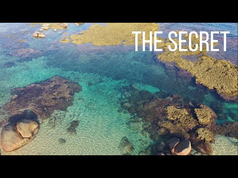 SAN AGUSTIN OAXACA | CORAL REEF IN MEXICO