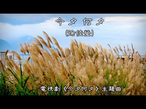 今 夕 何 夕 (徐佳瑩) (電視劇《今夕何夕》主題曲) (4K 5.1聲道)