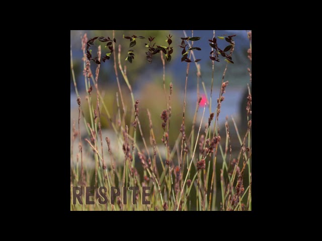 {artistName}의 {trackName} 뮤직 비디오 보기