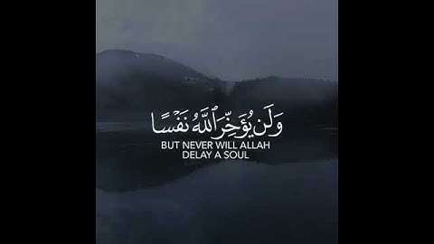 حالات واتس اب مؤثرة | اية تهز قلبك بصوت القارئ | Quran Status, 91 (2)