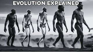 What Is Evolution?