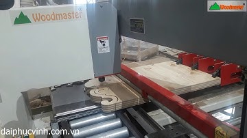 MÁY CƯA LỌNG CNC DÙNG MŨI SOI , MŨI ROUTER LỌNG CHI TIẾT KHÓ WOODMASTER