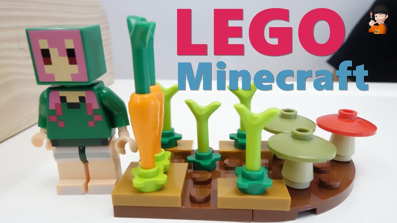 LEGO Minecraft Bricks Farmland Vegetables Radishes 2 Toys YouTube