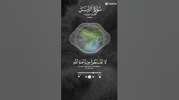 من سورة الزمر