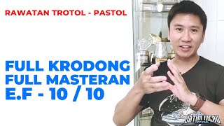 Rawatan Murai Batu Trotol ke Pastol - Roni Sarikat Rawatan Murai Batu Trotol ke Pastol - Roni Sarikat