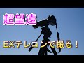 超望遠EXテレコンで野鳥を撮影！