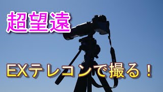 超望遠EXテレコンで野鳥を撮影！