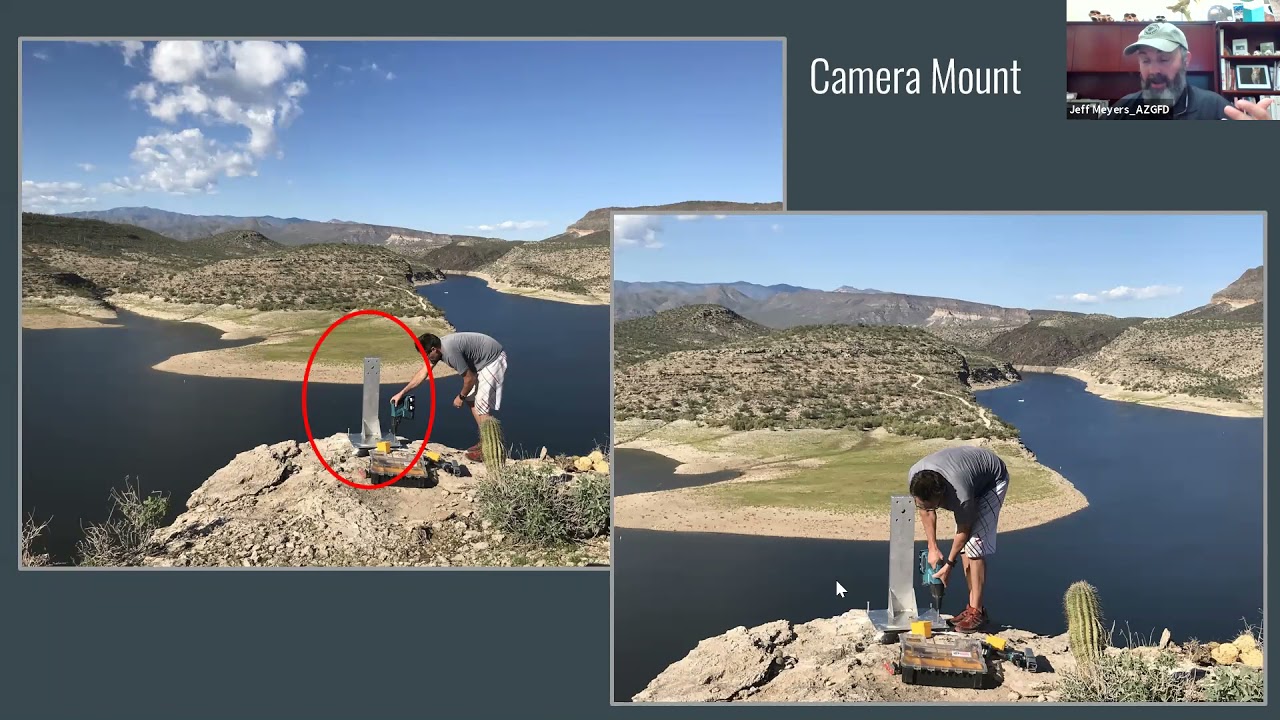 Streaming Wildlife Cams