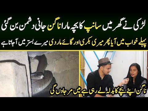 Interview of rukhsaar and snake