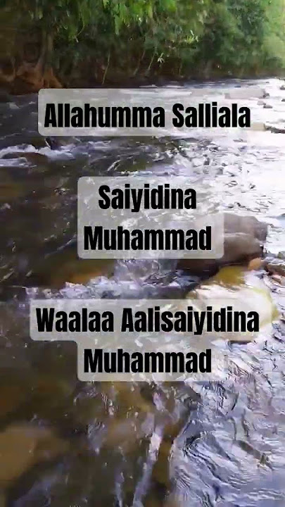 Allahumma Salliala Saiyidina Muhammad Waalaa Aalisaiyidina Muhammad #shalawat#allahumm #pengampunan