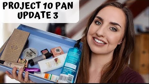 Project 10 Pan | Update 3