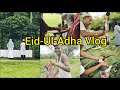 Vlog07 eiduladha vlog