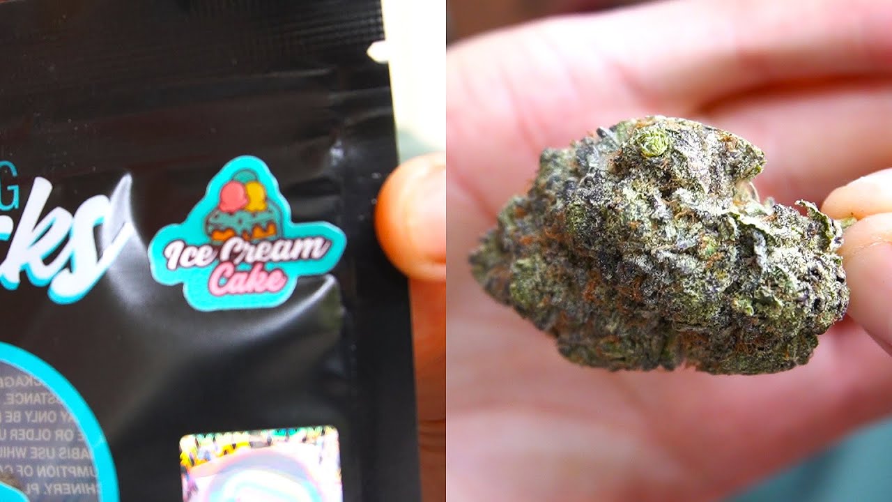 Ice Cream Cake by PLUG PLAY