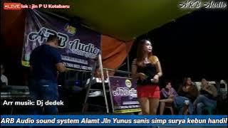 Lagu Dangdut duet || Pertemuan || hujan saweran Fitri ayu ARB Audio menang banyak|| DJ dedek