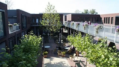 The Seemingly Normal Dutch Village Where Everyone Suffers from Dementia