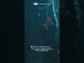 رحمة للعالمين Shorts رحمة للعالمين Shorts