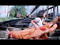 Balakrishna  laya telugu movie ultimate scene telugumultiplex1 