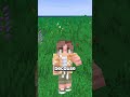 Why everyone prefer to live in Brazil on Minecraft Why everyone prefer to live in Brazil on Minecraft