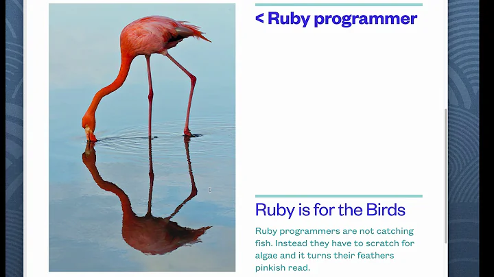 Developer Job Questions in 2020 and a Ruby Joke. S...