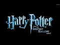 19 - Destroying The Locket - Harry Potter and the Deathly Hallows Soundtrack (Alexandre Desplat)